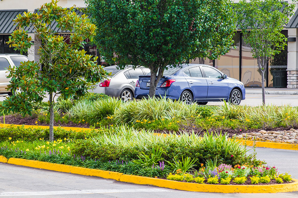 Landry's Landscape Portfolio